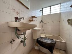 Pandan Valley (D21), Condominium #554764281